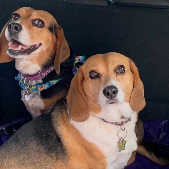 Meet your Posher, Lisa - Picture 1 of 1